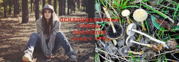 прущие крисы Волосово