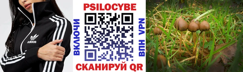 Купить  Ржев  Галлюциногенные грибы мухоморы 